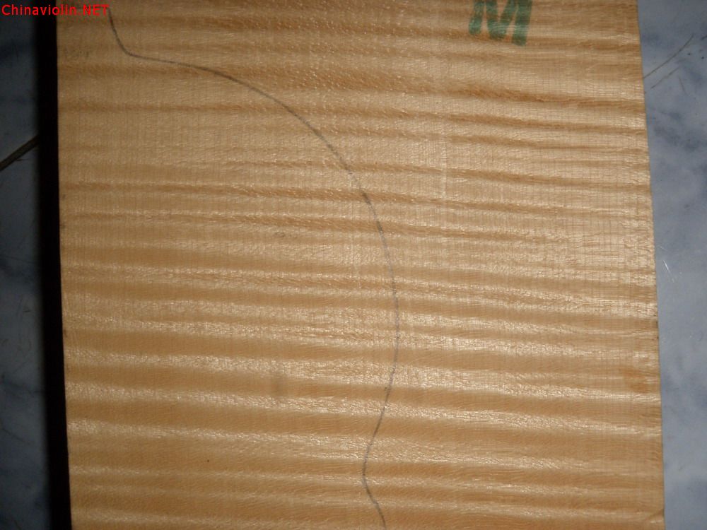 p1011295.jpg