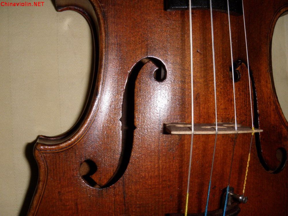 p1011007.jpg