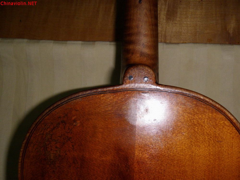 p1011015.jpg