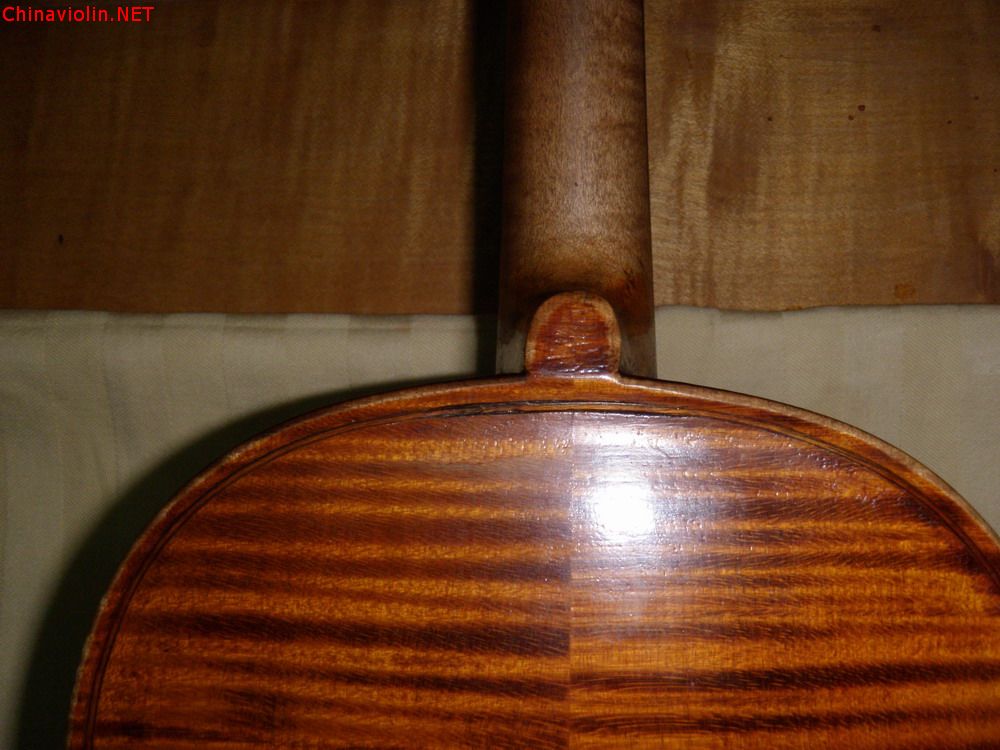 p1011035.jpg