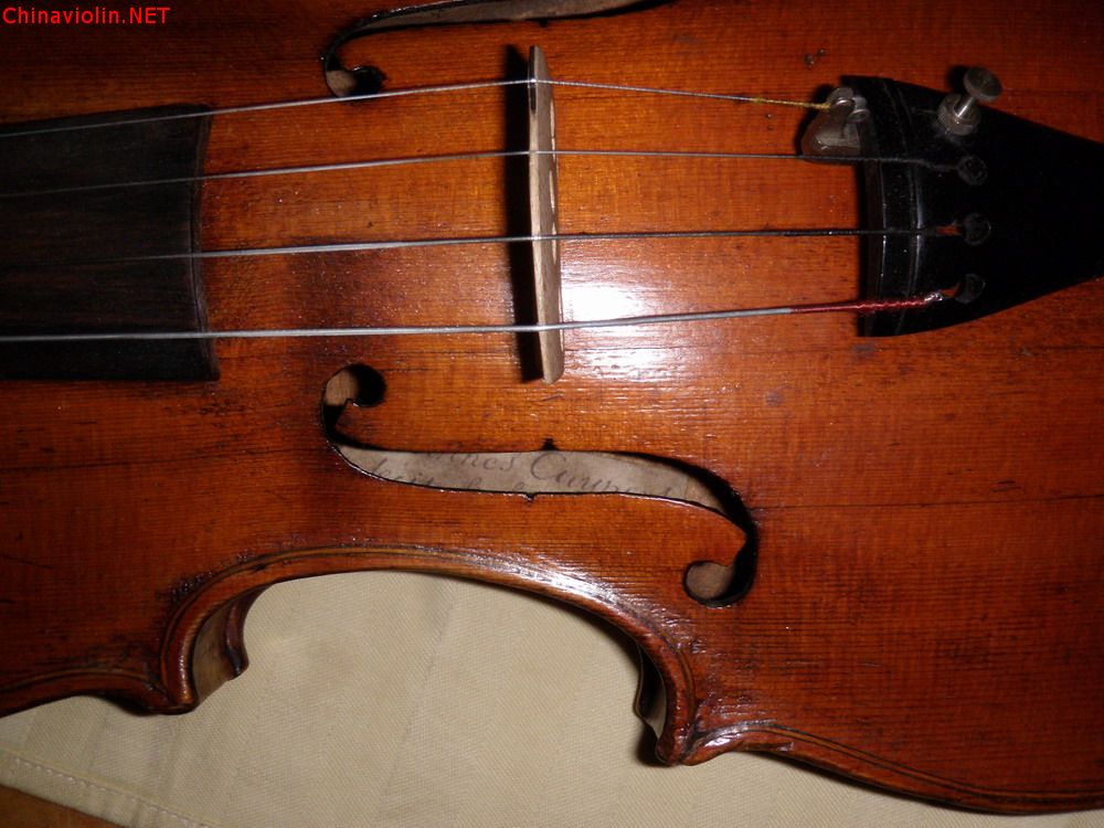 p1011073.jpg