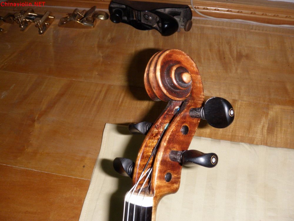 p1011020.jpg