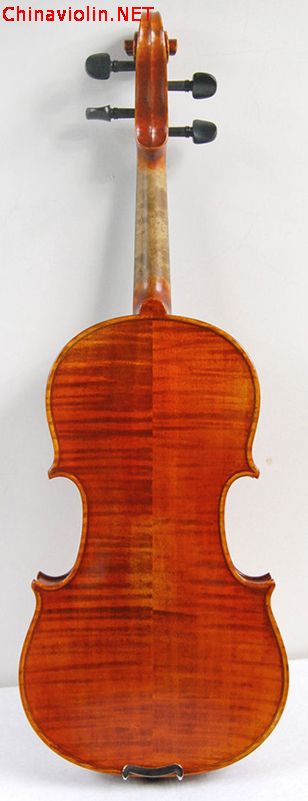 8106-2.jpg