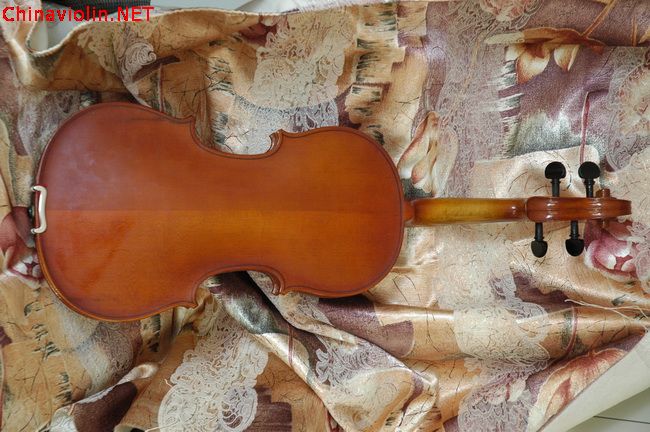 照片 035_调整大小.jpg