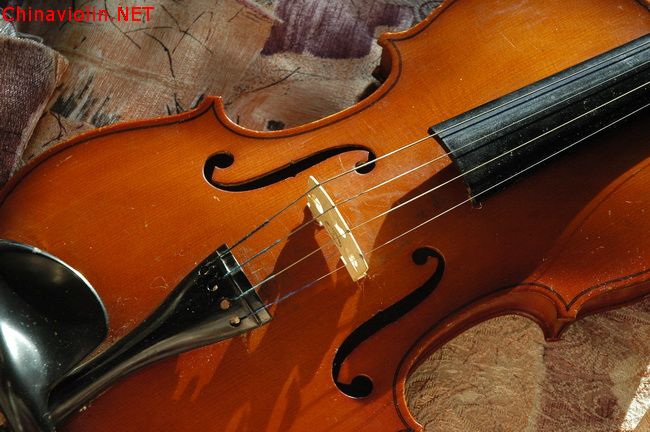 照片 040_调整大小.jpg