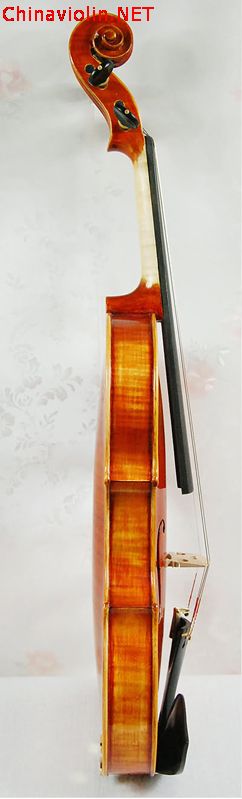 3230-3.jpg