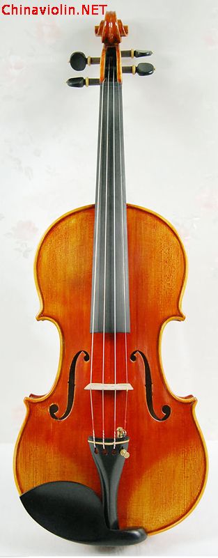 3230-1.jpg