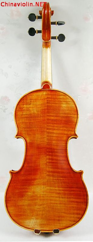 3230-2.jpg
