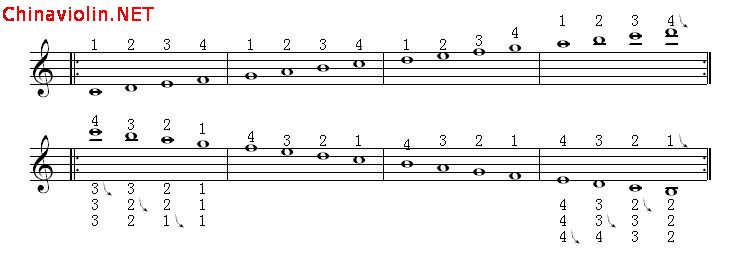 全程音阶（12个调）6.gif
