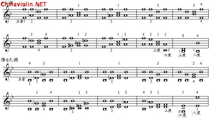 聚合琶音2(1).gif