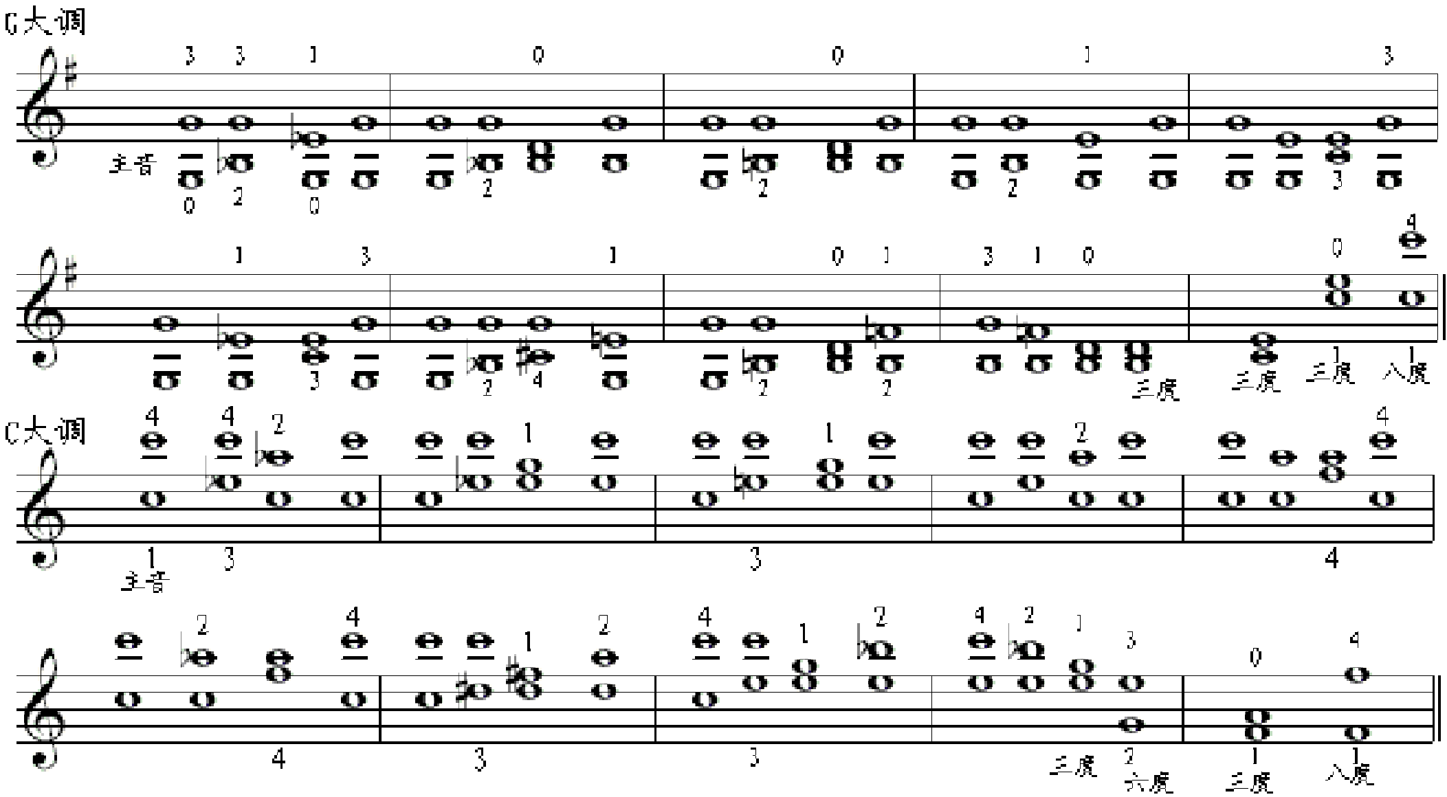 聚合琶音1(2).gif