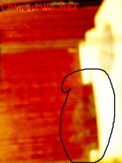 img0058a_副本.jpg