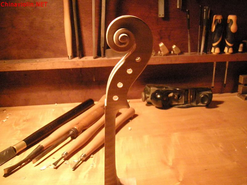 p1010036.jpg