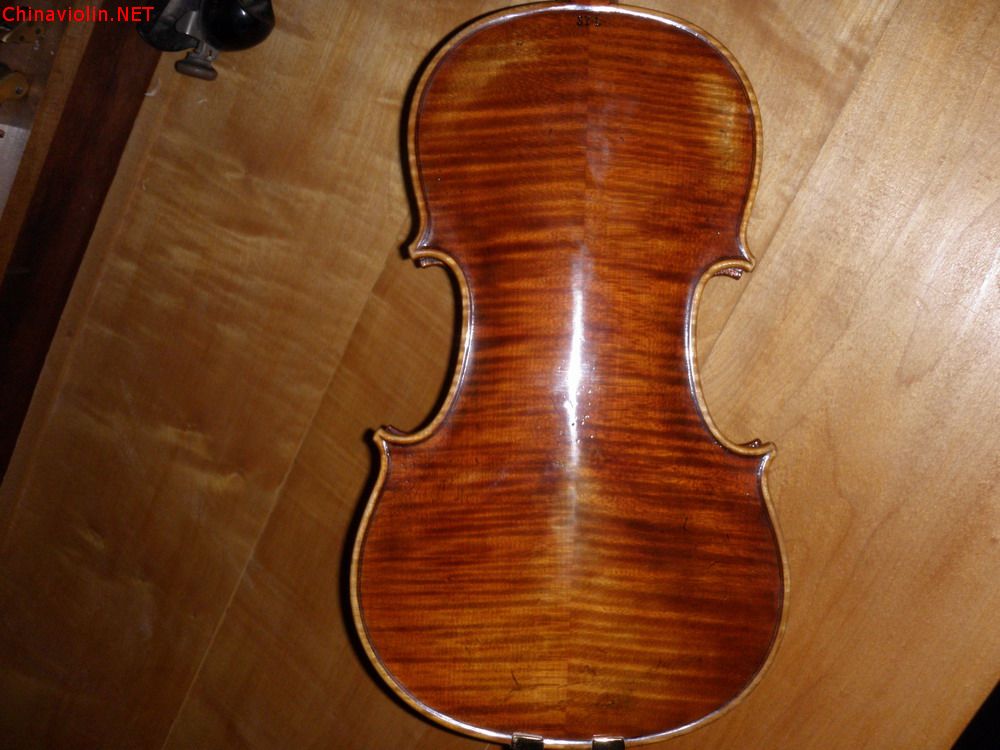 p1010151.jpg