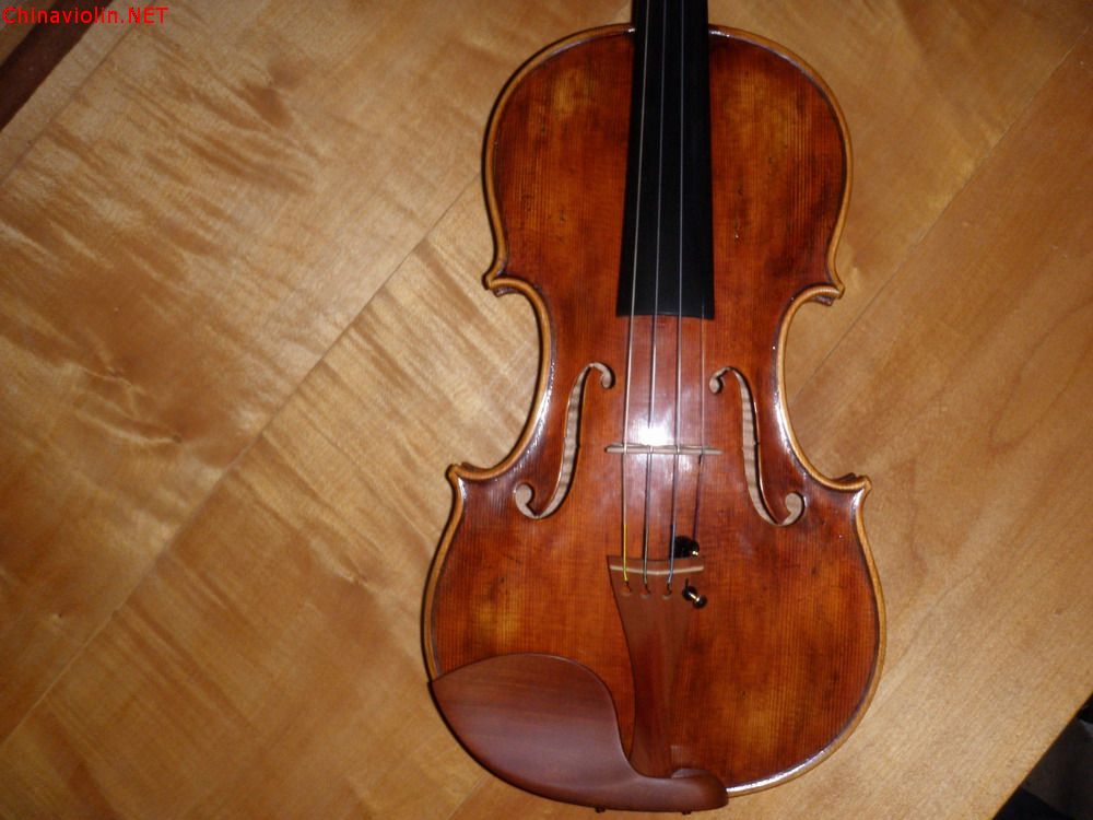 p1010144.jpg