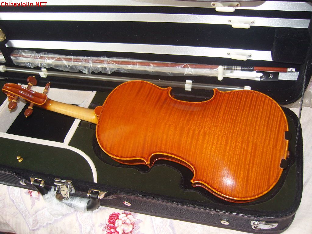 snv87014.jpg