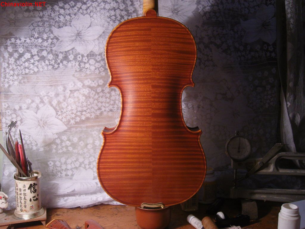 snv85737.jpg