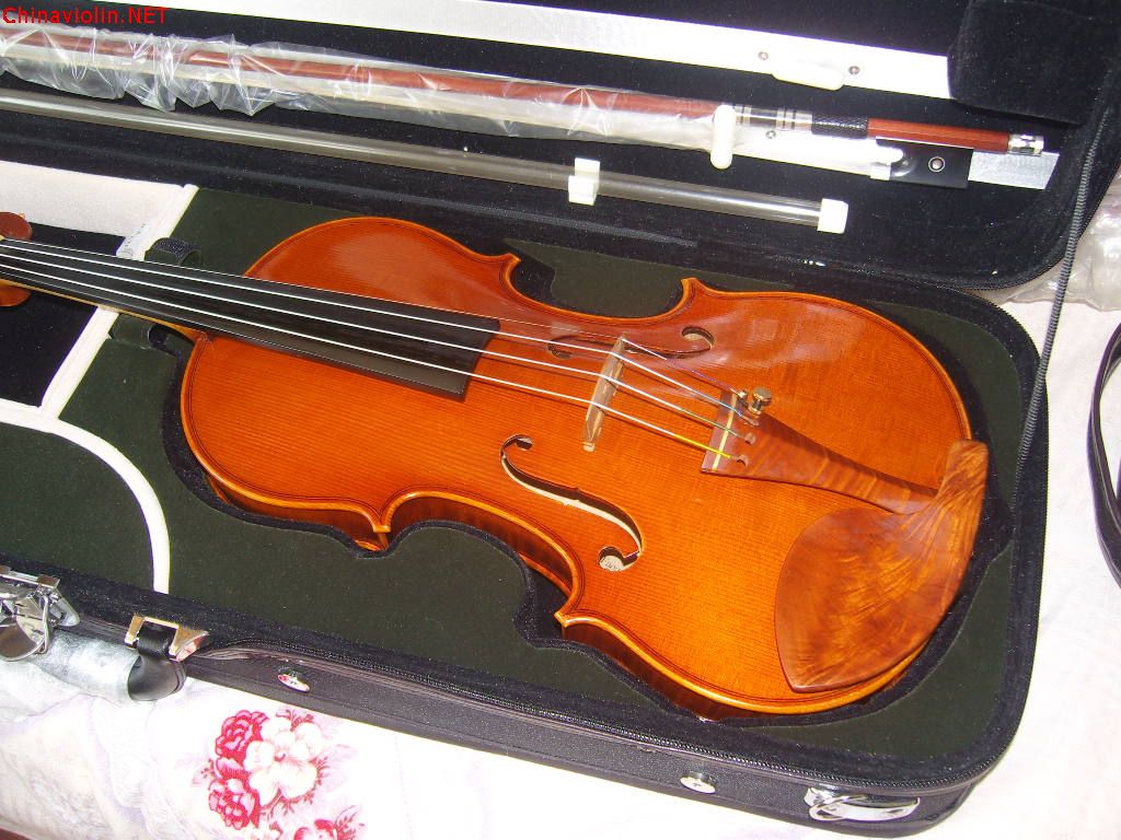 snv87008.jpg