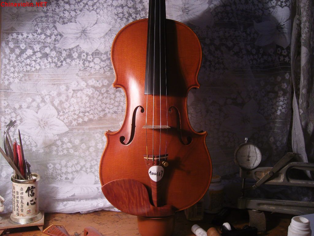 snv85735.jpg
