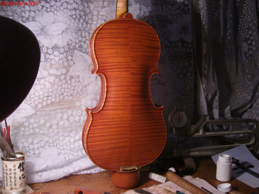 snv85738.jpg