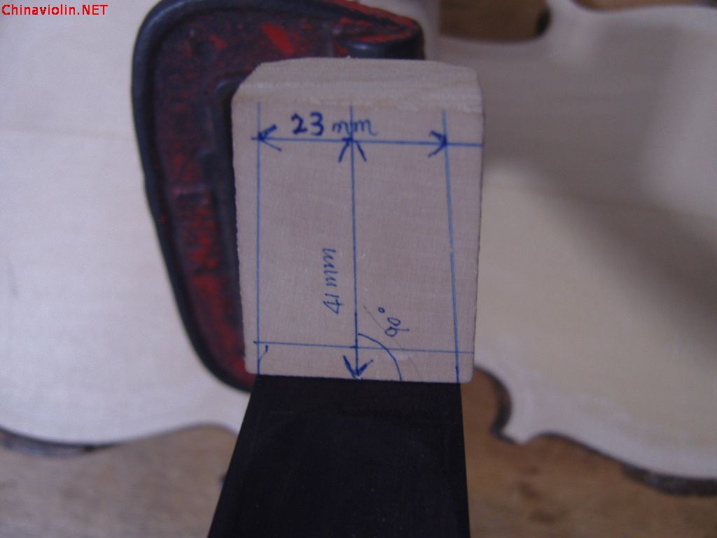 snv86931.jpg