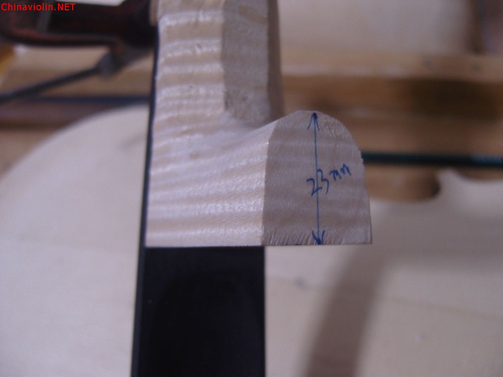 snv86938.jpg