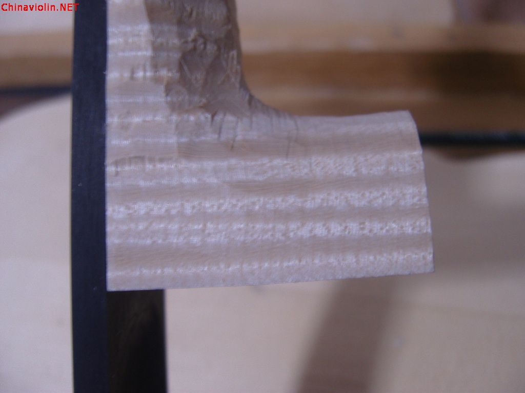 snv86936.jpg