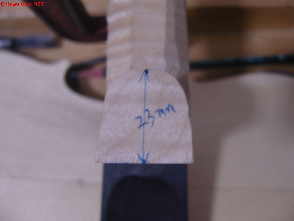 snv86934.jpg