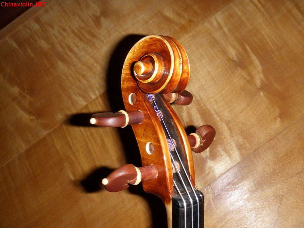 p1010149.jpg