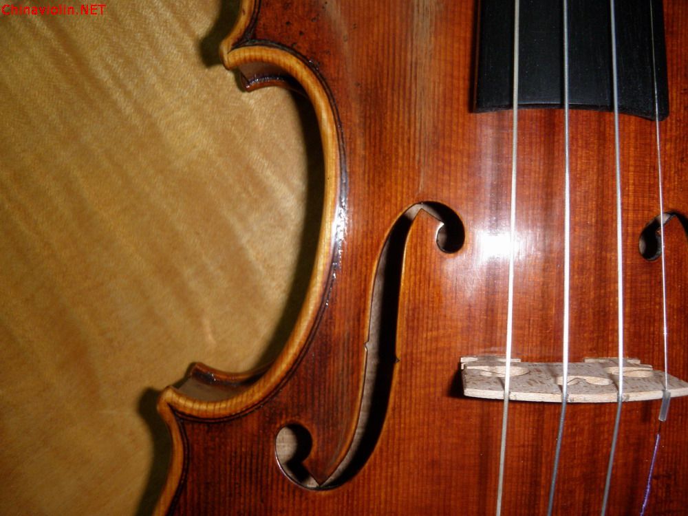 p1010154.jpg