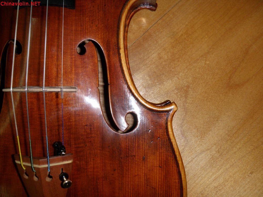 p1010155.jpg