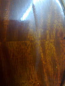 20110513014.jpg