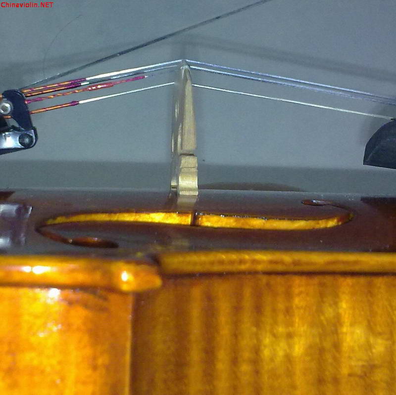 p5.jpg