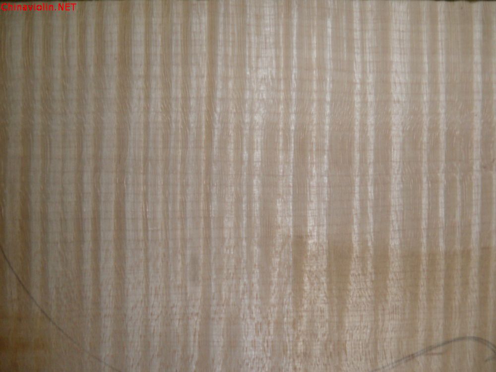p1010050.jpg