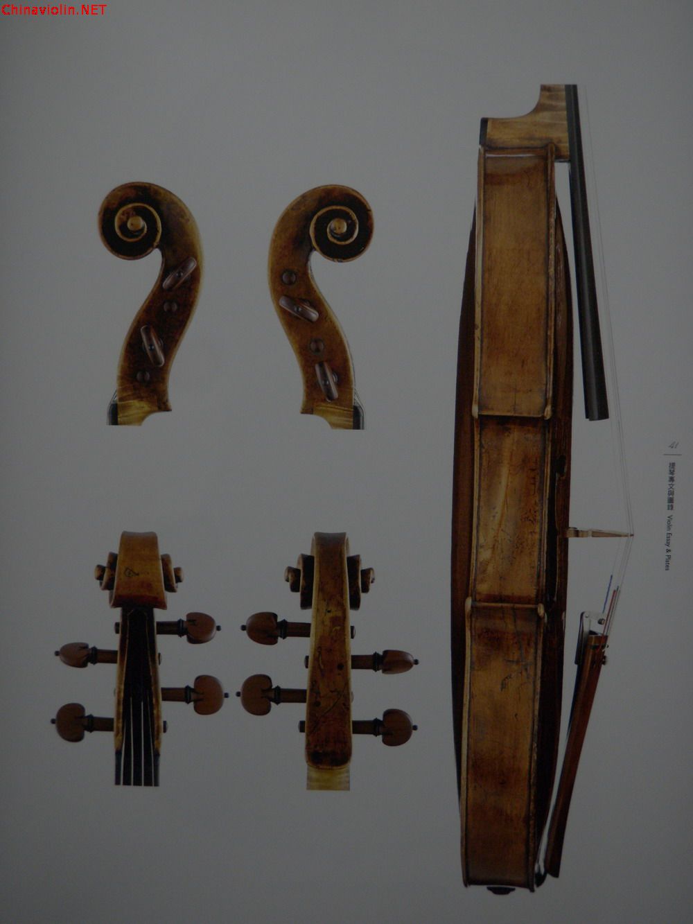 p1010003.jpg