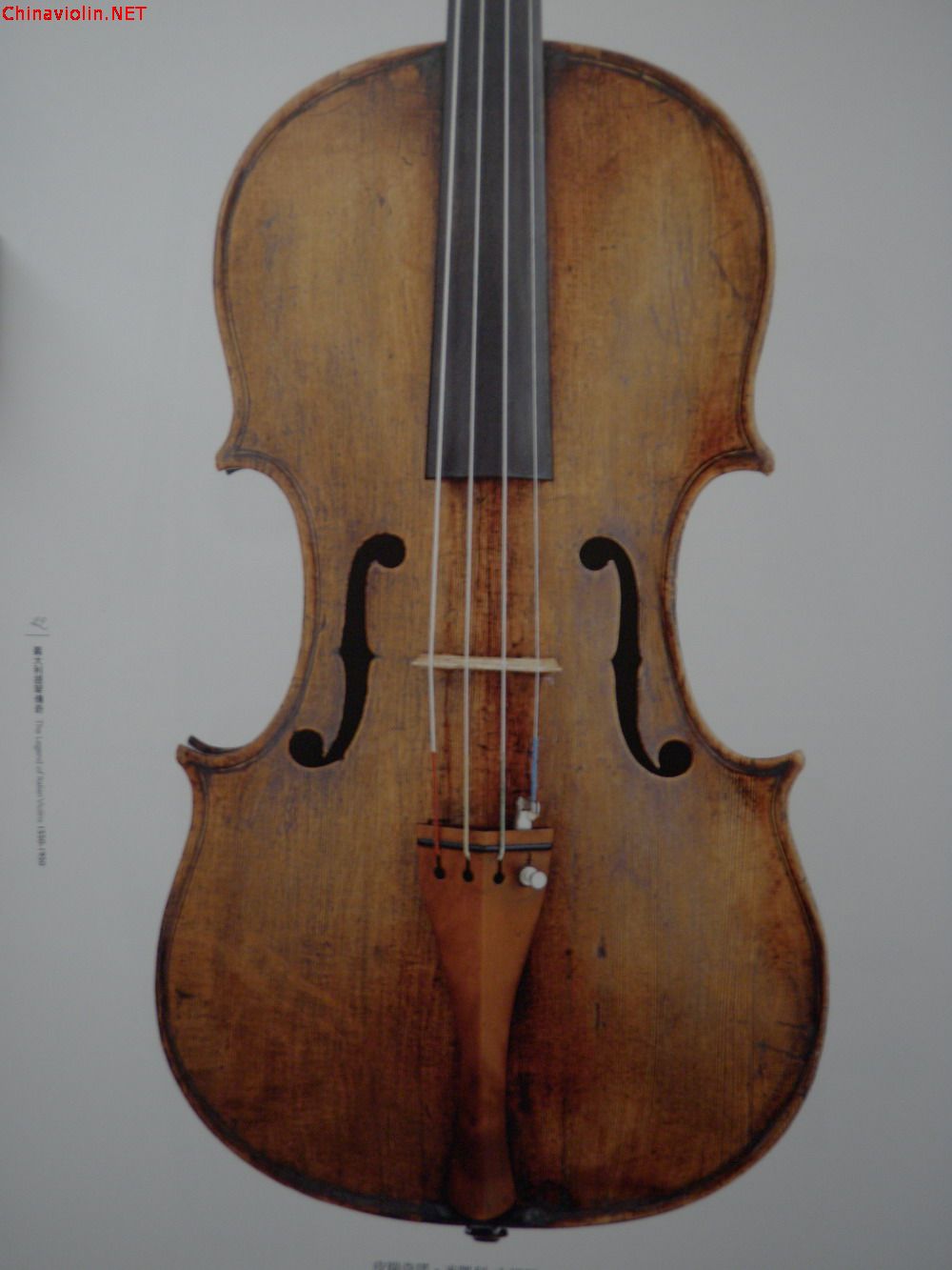 p1010005.jpg
