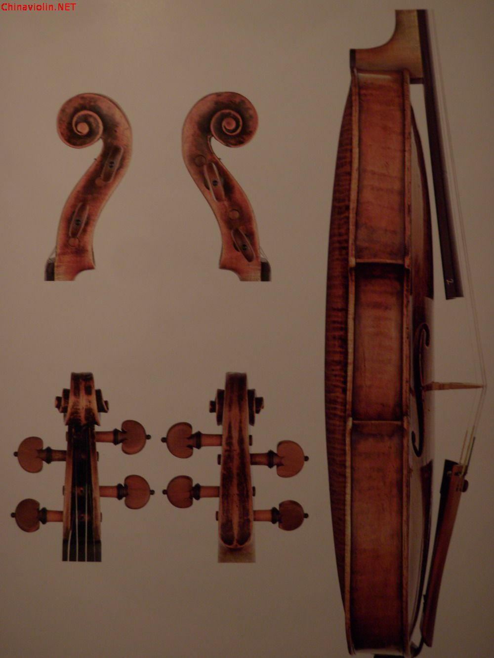 p1010051.jpg