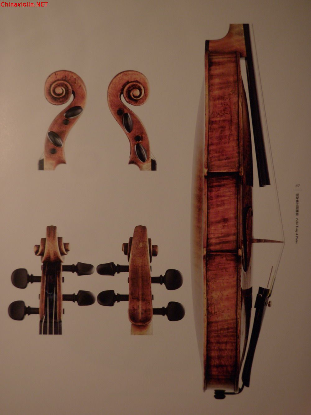 p1010039.jpg