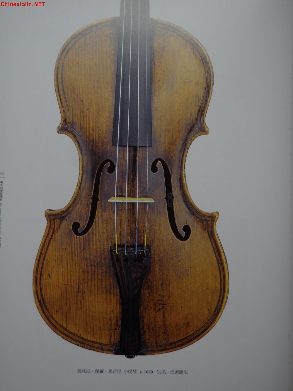 p1010026.jpg