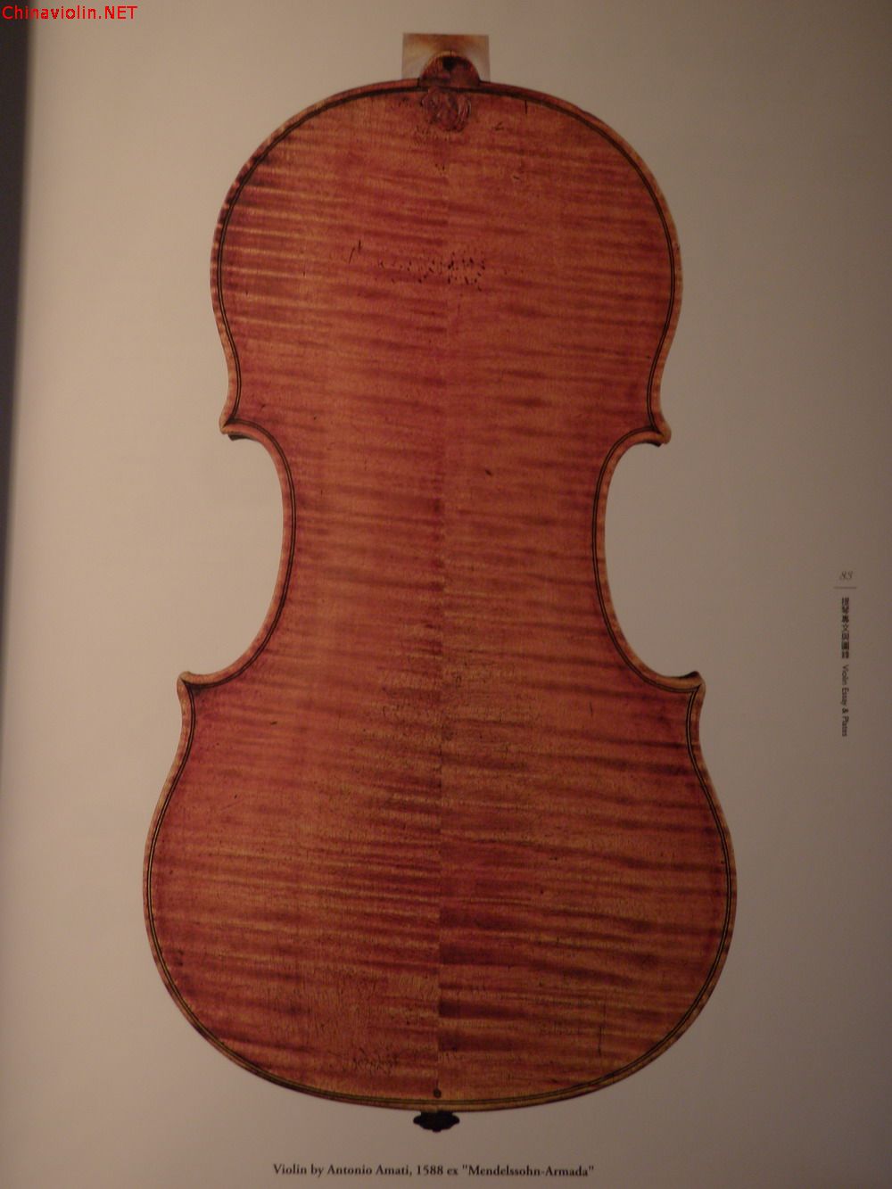 p1010055.jpg