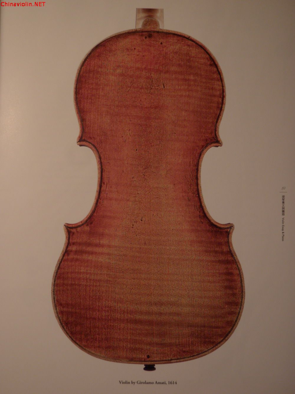 p1010059.jpg