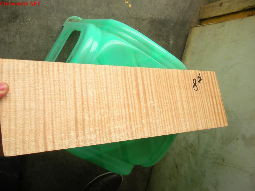 dscn1407.jpg