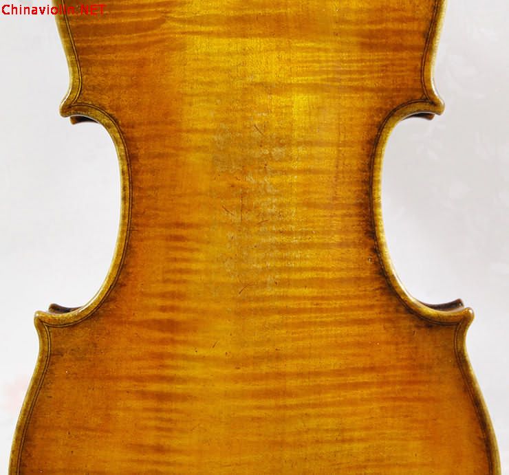 8371-7.jpg