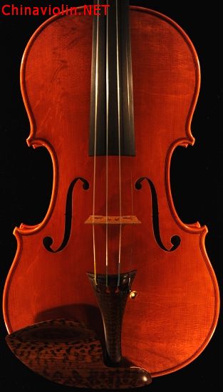 franceco bissolotti 2.jpg