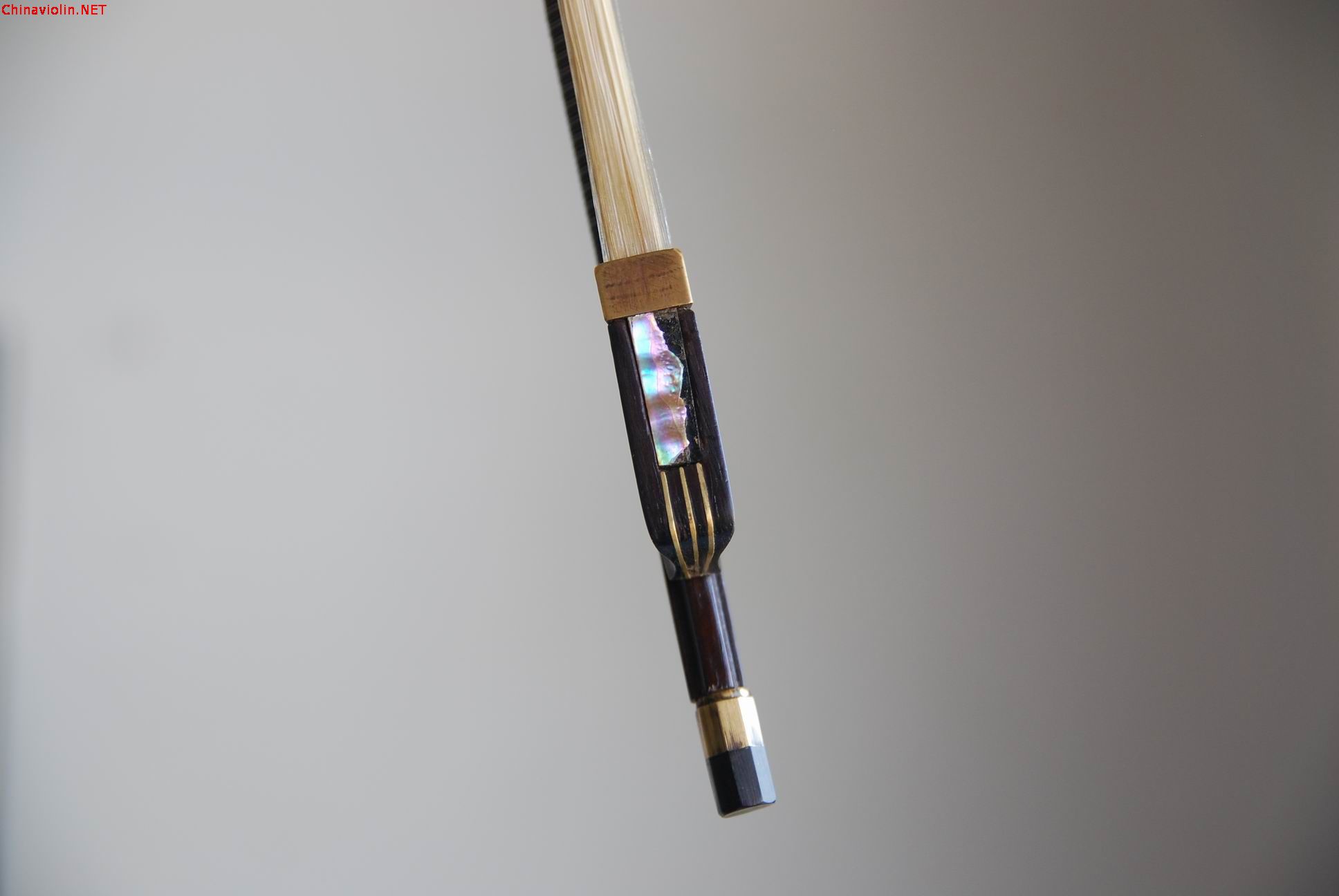 调整大小 dsc_0019.jpg