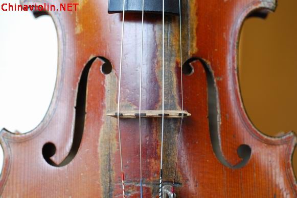 调整大小 dsc_0419.jpg