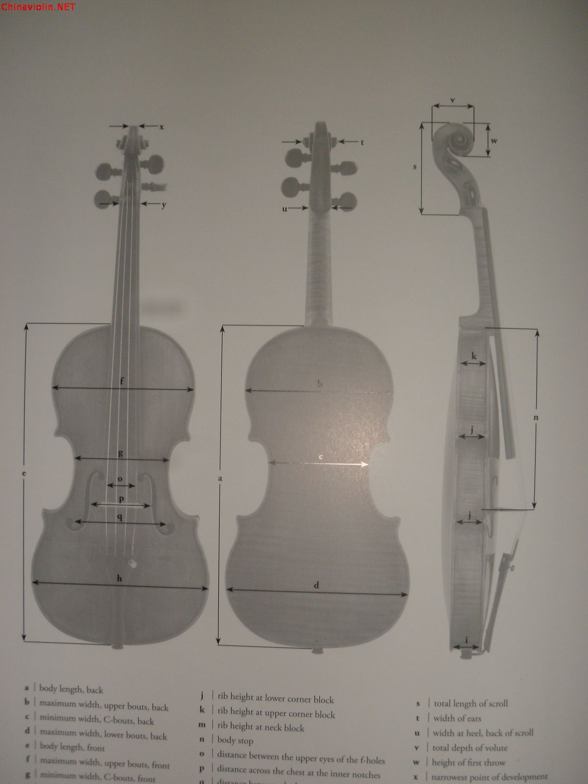p1010137.jpg