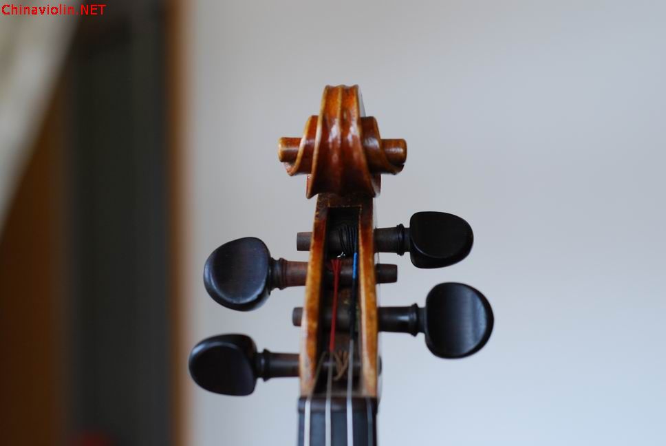 调整大小 dsc_0411.jpg