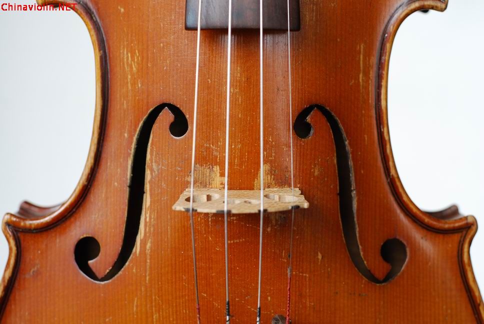 调整大小 dsc_0398.jpg