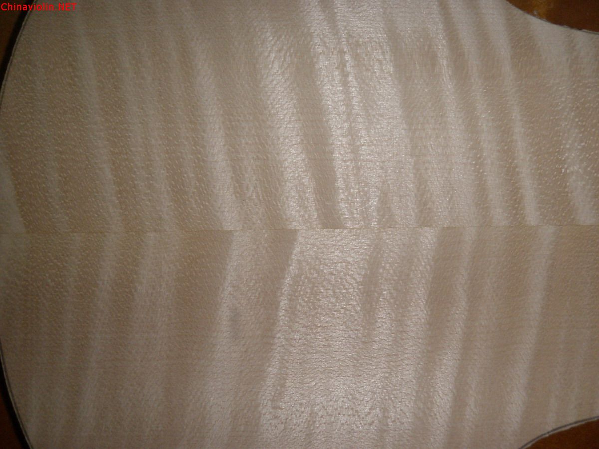 p1010197.jpg